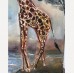 Giraffes at the Waterhole – Original Oil Painting